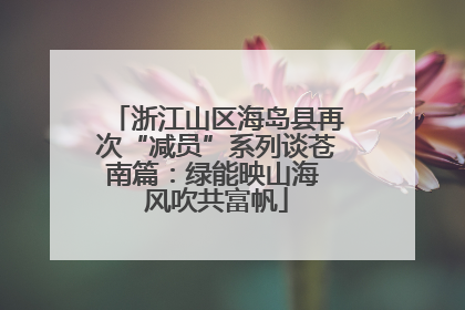 浙江山区海岛县再次“减员”系列谈苍南篇：绿能映山海 风吹共富帆